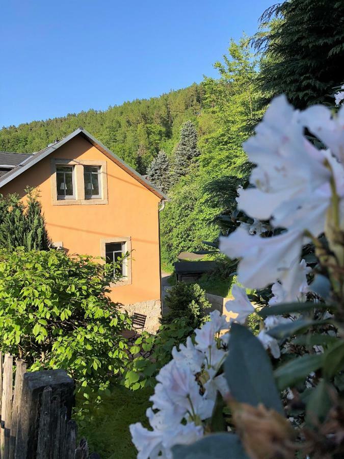 Apartamento Fuchsbau Königstein Exterior foto